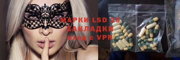 PSILOCYBIN Абаза