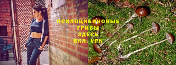 PSILOCYBIN Абаза