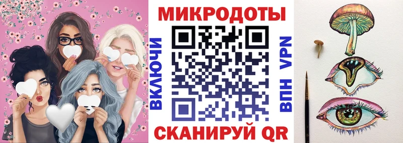 Галлюциногенные грибы Psilocybe  Новочеркасск 