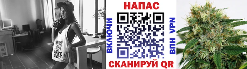 Каннабис планчик Новочеркасск
